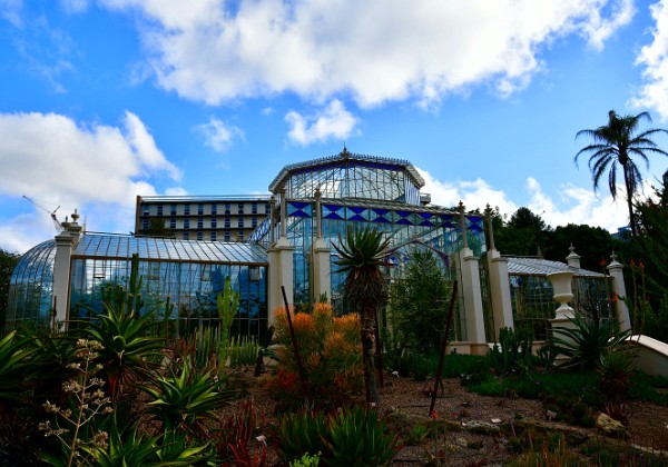 Palm House and Cactus and Succulent Garden