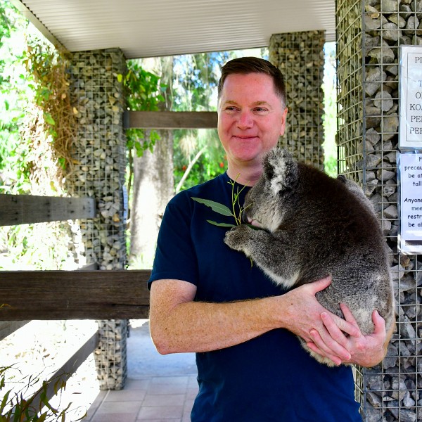 Smirking With the Koala