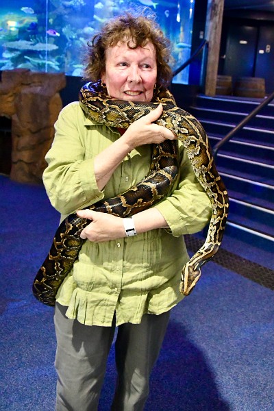A Maltese Lady Holding a Burmese Python