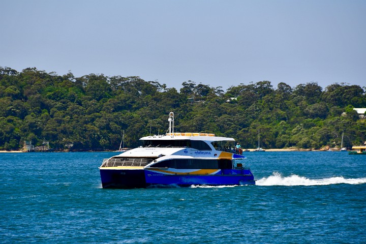 Fast Ferry Moving