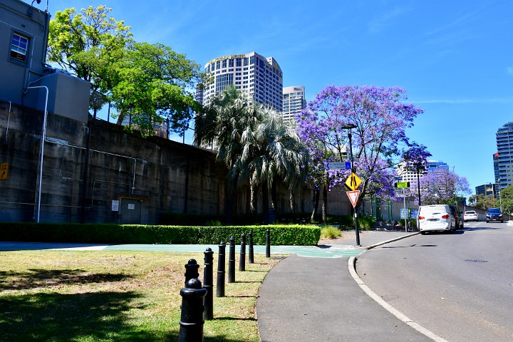 Sunny Day at Millers Point